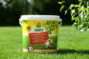 COMPO Ilgo veikimo trąšos vejai 8 kg