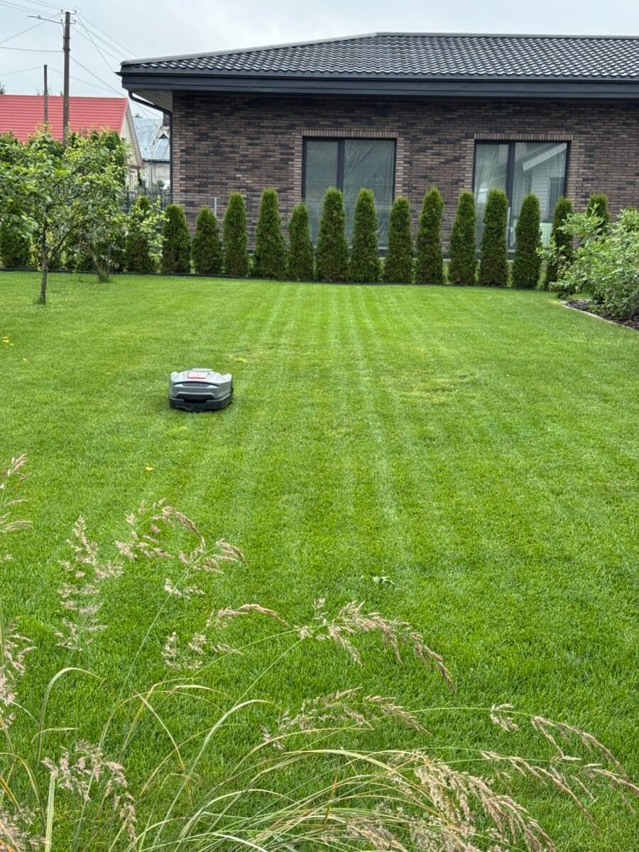 Vejos priežiūra rudenį