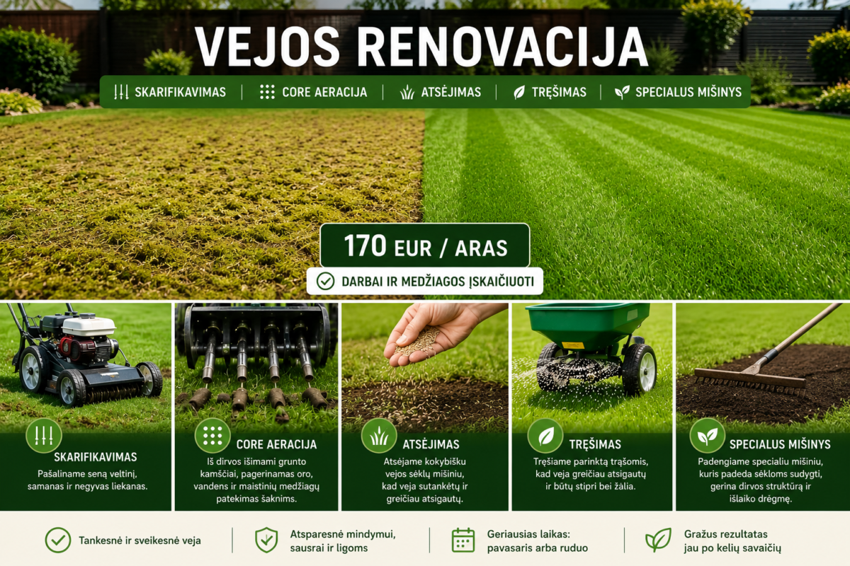 vejos renovacija